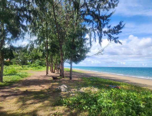 Beach Lot for Sale in Infanta Quezon