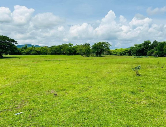 500 sqm Residential Farm For Sale in San Juan Batangas