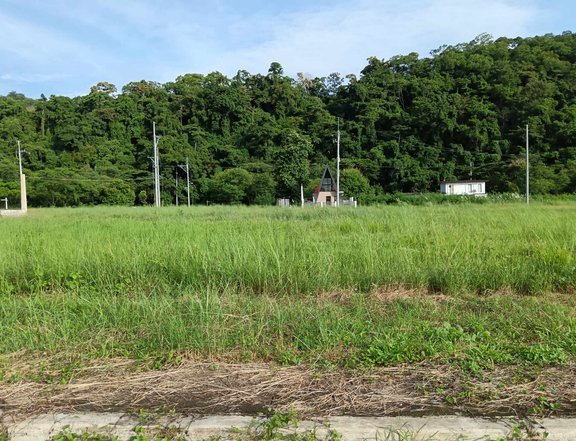 Titled Ready for 150 sqm Residential Lot for Sale in Baras Rizal