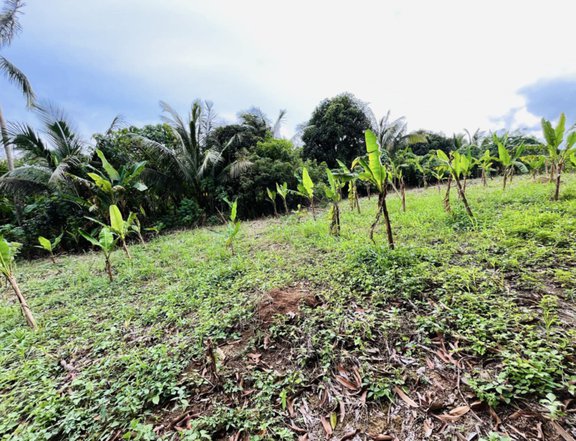 Residential Farm For Sale in Silang Cavite