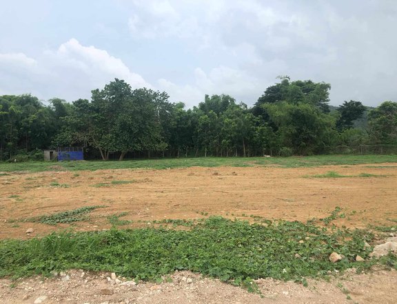 1,000 sqm Residential Farm For Sale in Nasugbu Batangas