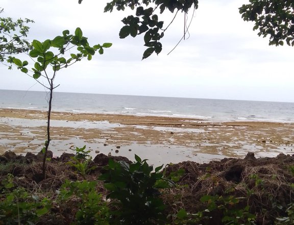 1,520 sq mtr Beach cliff for sale in Poro Cebu