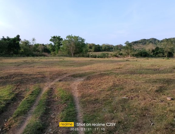 Lot for sale 18has along barangay road!!!