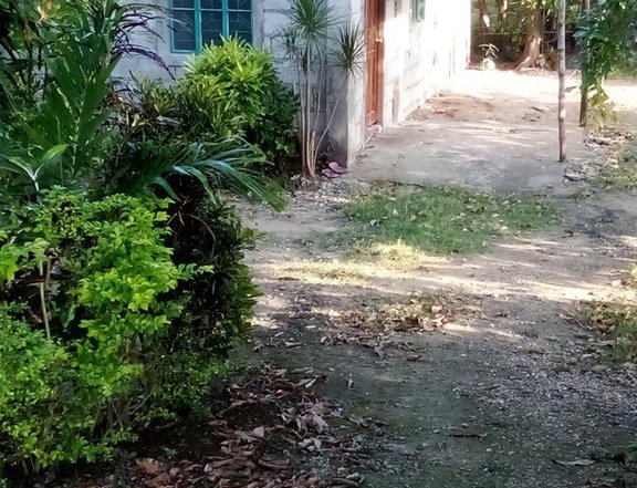 House and lot single attached  For Sale in Bani Pangasinan