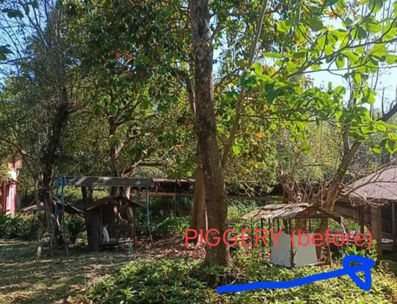 LF investor for 10,070 sqm residential lot in De Ocamo Trece Cavite