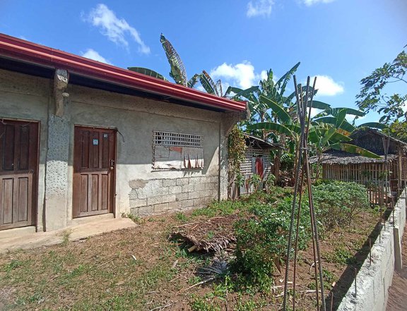 House & Lot for sale by owner in Pilar Capiz