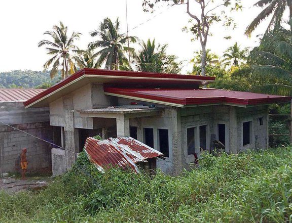 House For Sale In Baybay Leyte