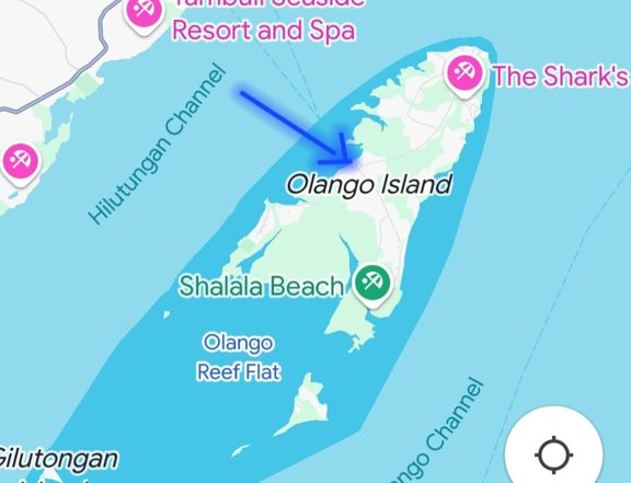 Olango Island Beach Lot Property Cheapest Airbnb Resorts OnePropertee Direct to Owner For Sale Cebu