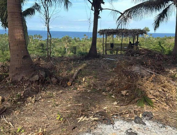 500 sqm Farm Lot For Sale in San Juan Batangas