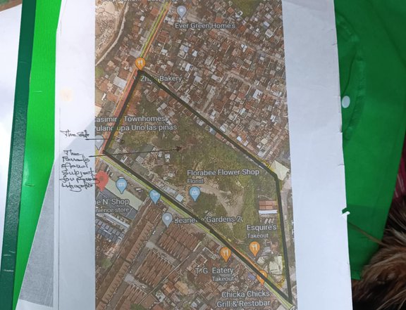 1.6 hectares Commercial Lot For Sale in Las Pinas