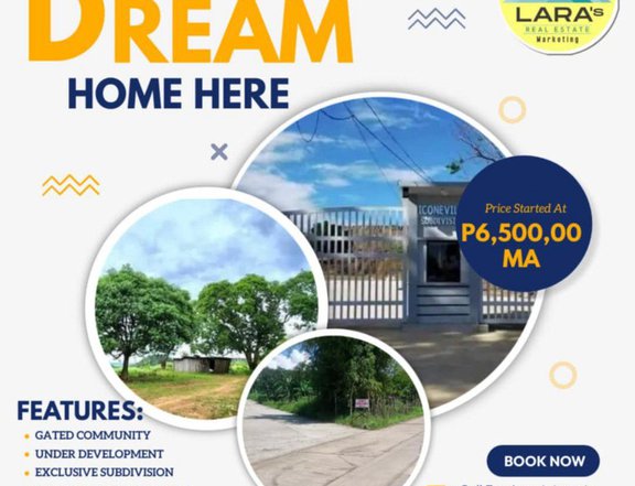 100 sqm Residential Lot For Sale in Pililia Rizal