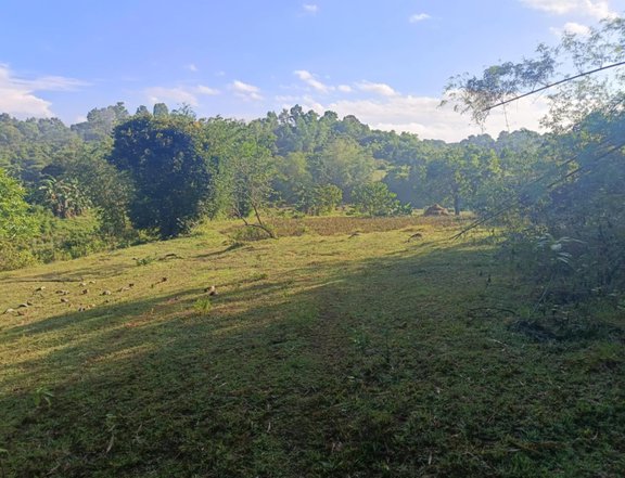 4.2 hectares Residential Lot For Sale by owner