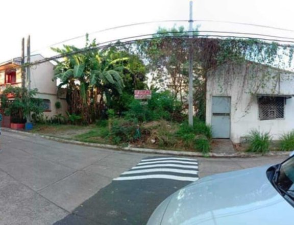 375 sqm residential lot for sale in Las Pinas