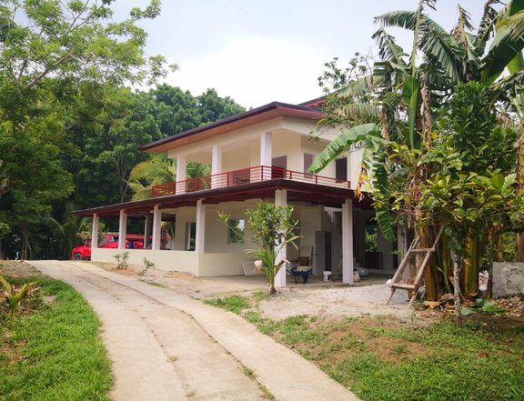 For Sale overlooking farm lot with a farmhouse and fruit bearing trees in Cavite Cabuyao Laguna