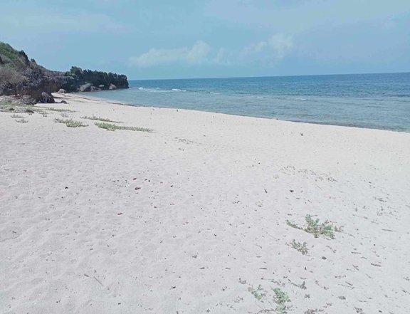 2,000 sqm Beach Property For Sale in Burgos Pangasinan