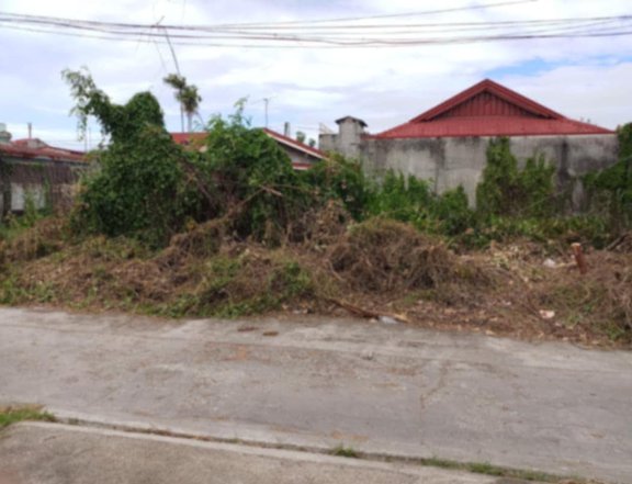 2 LOT / 120Sqm  Residential lot for sale Heritage Subdivision Malolos bulacan