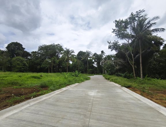 Your Dream Lot Awaits in Alfonso Cavite