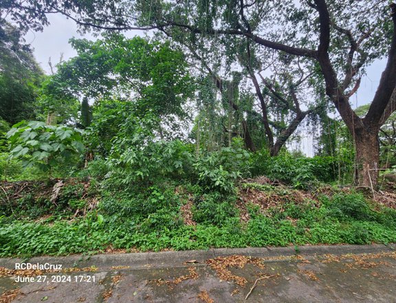 375 sqm Residential Lot For Sale in Antipolo Rizal