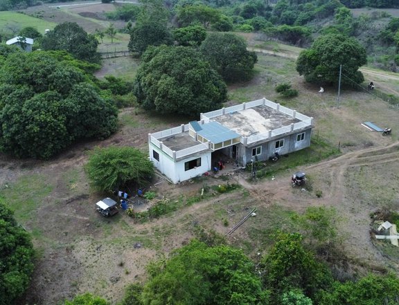 2.7 has house & lot w/mango farm For Sale in Cuyapo Nueva Ecija