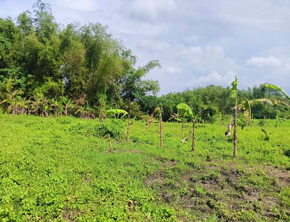 Residential Farm Lot for Sale in Santa Barbara Iloilo