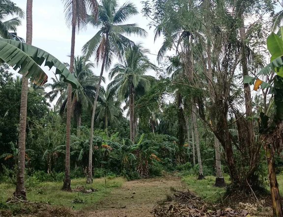 Farm lot for sale in Indang Cavite