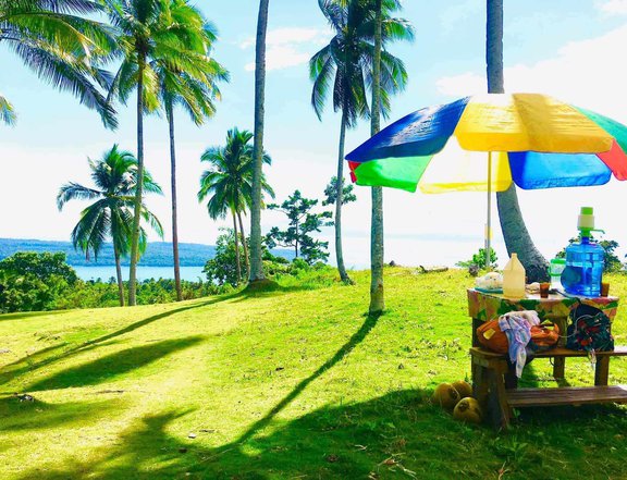 Overlooking view of Mt. Apo and Talicud Island Land Property