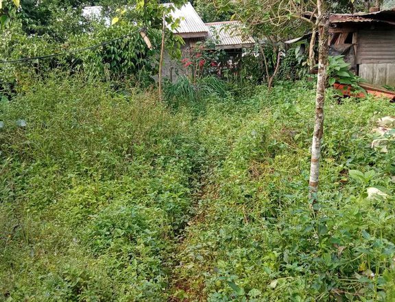 house and lot for sale in Lantapan Bukidnon