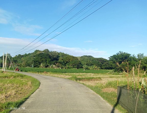 RESIDENTIAL LAND OR AGRICULTURE FARM