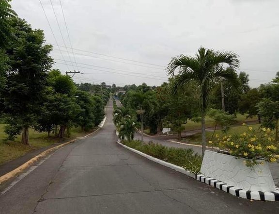 RESIDENTIAL LOT FOR SALE IN METRO GATE SILANG ESTATES, CAVITE