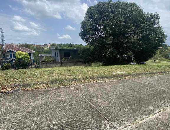 195 Sqm Residential Lot for Sale In Silang Cavite