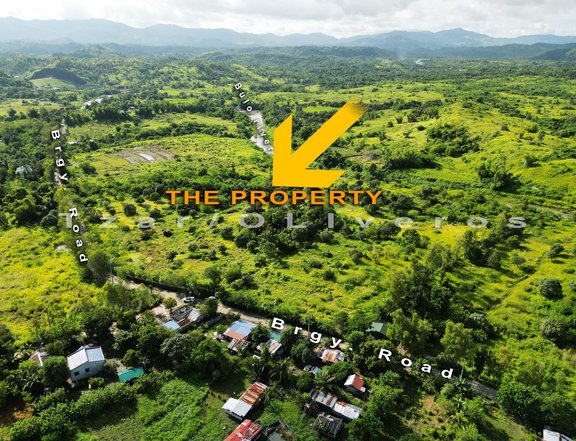 5.27 Hectares Beautiful Farm Land for Sale in San Miguel Bulacan