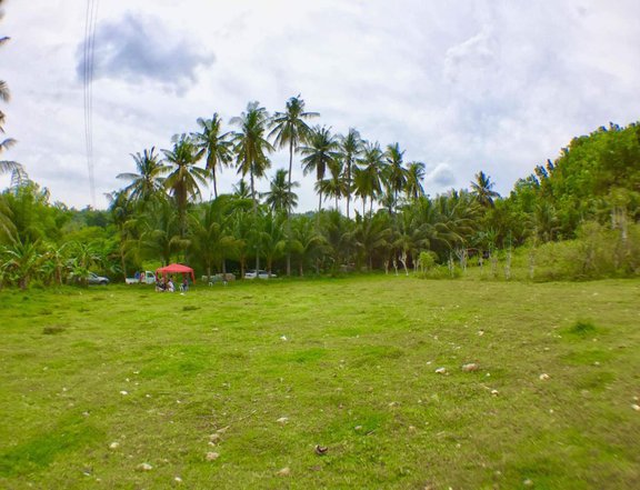 84 sqm Residential Lot For Sale in Carcar Cebu