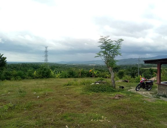 100 sqm Commercial Lot For Sale in Carcar Cebu