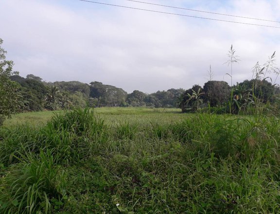 2.1 hectares Raw Land For Sale in Rodriguez (Montalban) Rizal
