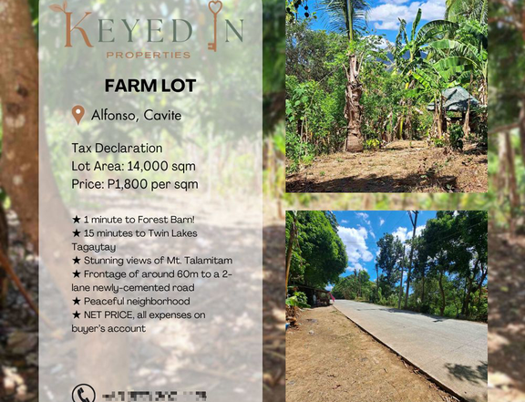 Farm Lot in Alfonso, Cavite 15 mins to TWIN LAKES Tagaytay, for sale!