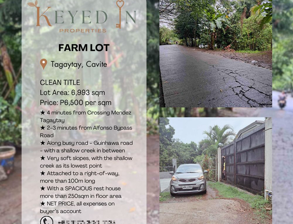 CLEAN TITLE 6993 SQM FARM LOT with REST HOUSE in Tagaytay for sale!