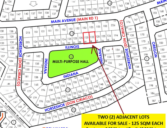 125 sqm Residential Lot METROVILLA For Sale By Owner in Mapulang Lupa Valenzuela