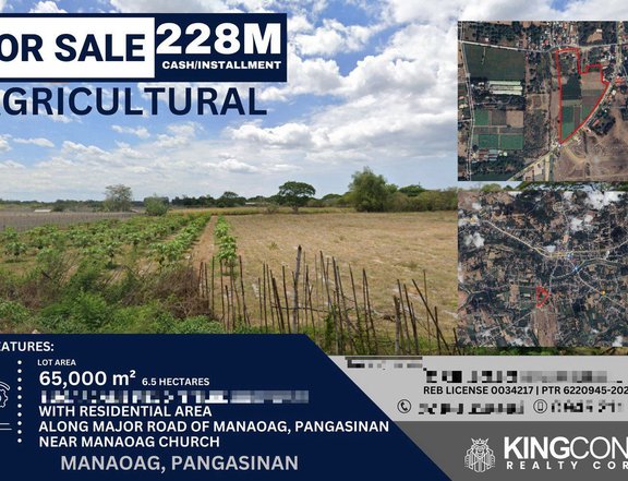 6.5 hectares Agricultural Farm For Sale in Manaoag Pangasinan