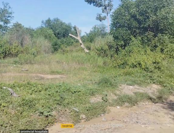 2.63 hectares Agricultural Farm For Sale in Talibon Bohol