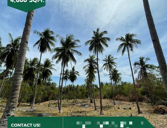 LOT FOR SALE - 4,800 sqm Residential Farm for Sale in San Juan Batangas