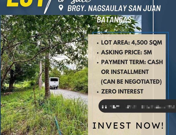 4,500 sqm Residential Farm For Sale in San Juan Batangas