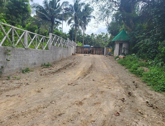 500 sqm farm lot for sale with fruits bearing in Alfonso Cavite