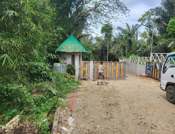 Residential Farm lot near Sonya's Garden and Tagaytay - Retirement