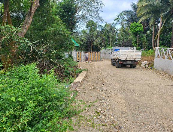 Farm lot for Sale in Brgy. Kaytitinga II Alfonso Cavite cool weather