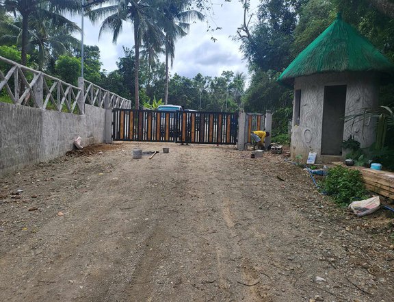 Lot for sale in Cavite 500 sqm with fruit bearing trees near Tagaytay