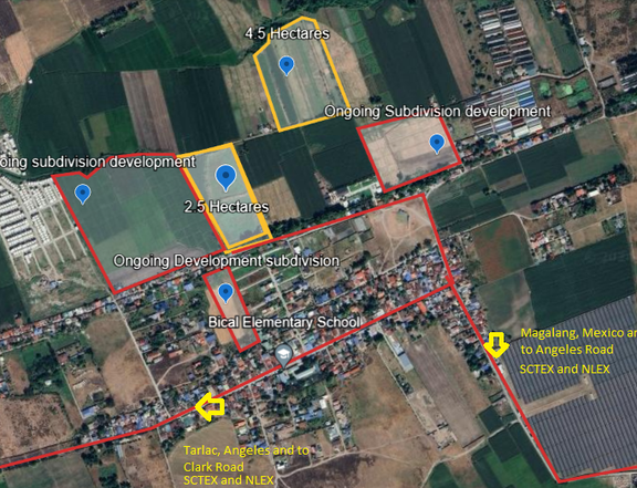 2.5 and 4.5 hectares for sale in Bical Mabalcat pamapanga