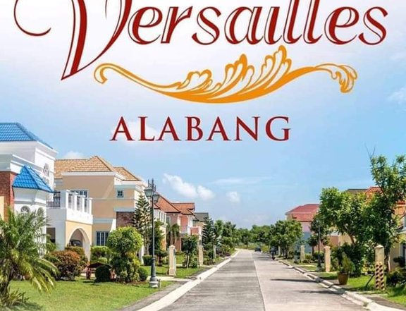 HOUSE IN LOT FOR SALE Versailles Daang Hari Road