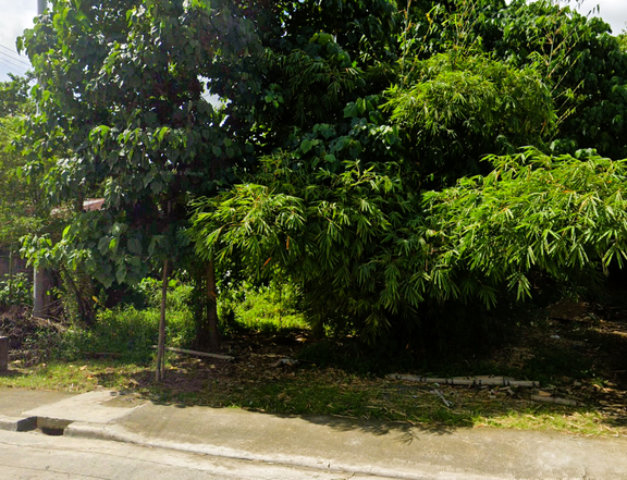 17-meter frontage commercial lot along the national highway with expandable area available.