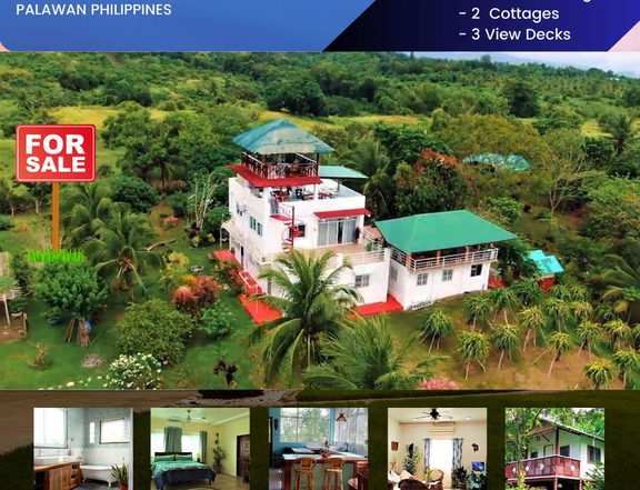 Live the Life You've Always Dreamed of at Ocean View Farm Palawan