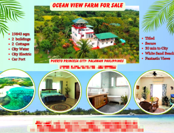 Live the Life You've Always Dreamed of at Ocean View Farm Palawan